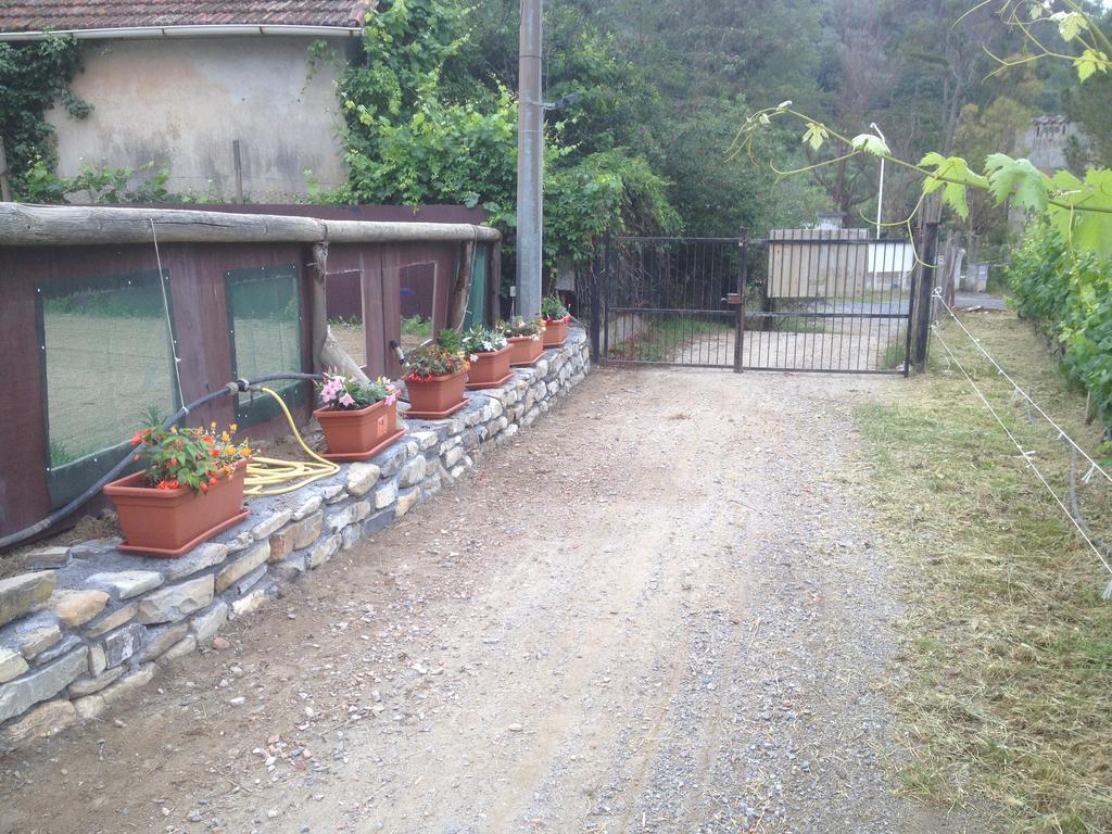 Il Piccolo Ranch Cervo Exterior foto