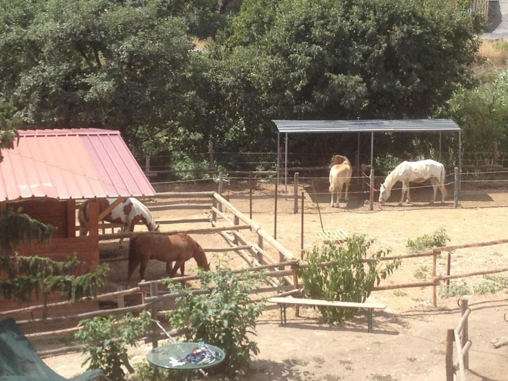 Il Piccolo Ranch Cervo Exterior foto