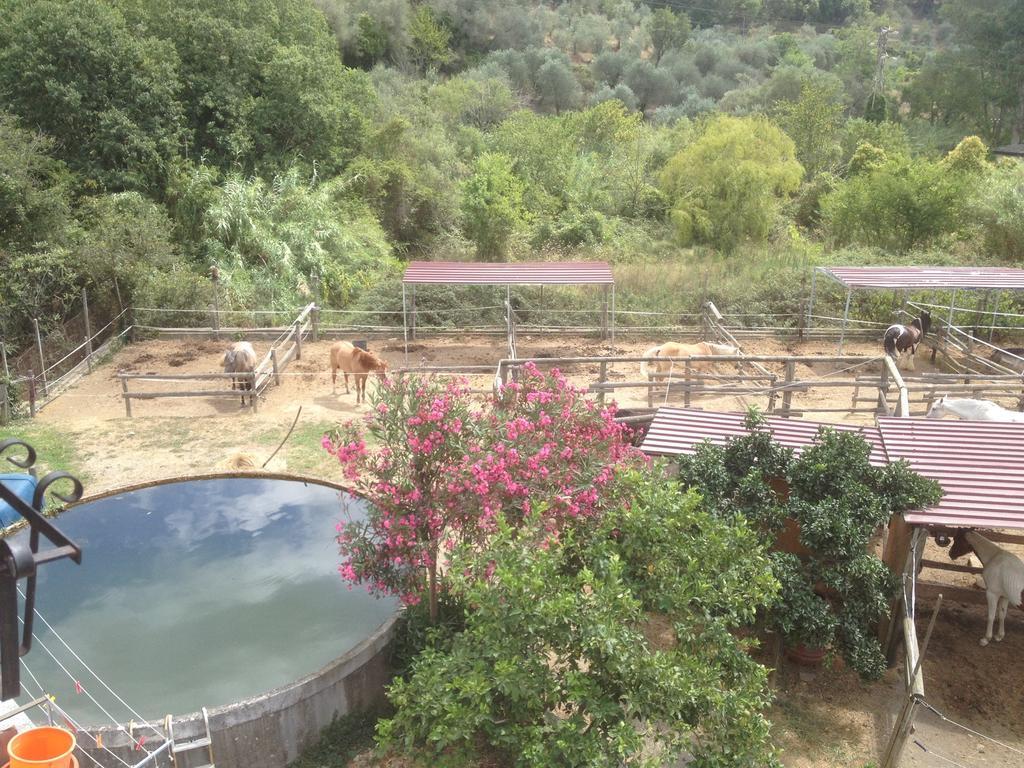 Il Piccolo Ranch Cervo Exterior foto